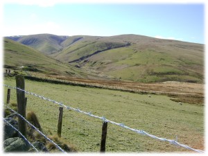 2008: The Empty Fields of Cumbria