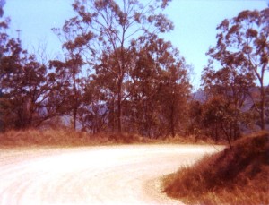 The road ahead 1982